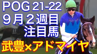 【POG/21-22】９月２週目デビューの注目新馬を紹介 【武豊×アドマイヤ×友道厩舎で目指せクラシック！】