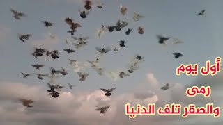 أول يوم رمى والصقر بهدل الدنيا وقطعت ب٣ دكر تعالوا نشوف