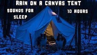 Rain On A Canvas Tent - Napping With The Dogs - Sounds For Sleep - 10 Hours