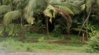 കോഴിക്കോട് - കടലുണ്ടി വഴി ഒരു ട്രെയിൻ യാത്ര // Train Passing Through Kozhikode Kadaludi