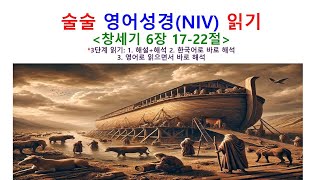 술술 영어성경(NIV) 읽기 - 창세기6장 17-22절