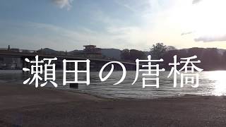 【近江八景】瀬田の唐橋をボーっと見る動画