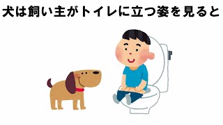 犬と飼い主との面白い愛情表現の雑学