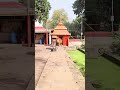 kedar gouri temple bhubaneswar templesofindia odisha heritage bhubaneswarbuzz