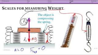 Mass, Gravity, Weight: Weight