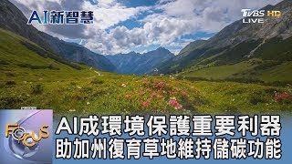 AI成環境保護重要利器 助加州復育草地維持儲碳功能｜FOCUS午間新聞 20250116