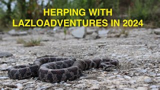 Herping with lazloadventures in 2024 ( 21 Species found )