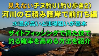 見えないチヌ釣り（釣り歩き２）河川が濁り護岸が石積みの浅場でサイトで得た技を活用し釣る確率を高める方法【前打ち／ヘチ釣り／落とし込み／河川／クロダイ／カニ／釣り方／サイトフィッシング】