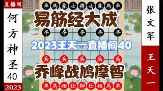 象棋神少帅：2023直播间第40局 王天一遇高手 除了小兵 无子过河