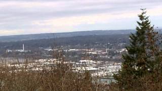 Bellingham as Seen from Observation Tower at Sehome Arboretum near Western Washington University