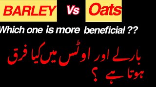 What is the difference b/w Barley and Oats in Urdu-which one is best?#weightloss #weightlosstips