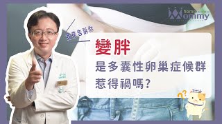 劉知樂 多囊性卵巢症候群