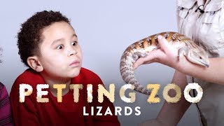 Lizards | Petting Zoo | HiHo Kids