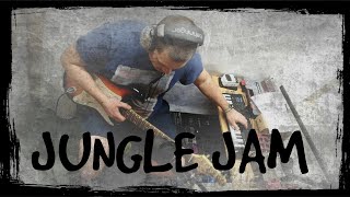 Jungle | Tasha Sultana | Jammin' Looper Cover by Bart