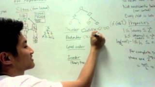 Trees and Binary Trees - Data Structures in 5 Minutes