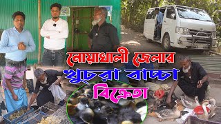 নোয়াখালী জেলার খুচরা বাচ্চা বিক্রেতা | হাঁসের খামার | Duck farming | Khamar Bangla 24.