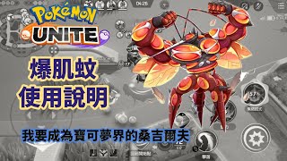 【寶可夢大集結】【Pokemon Unite】爆肌蚊(Buzzwole)使用說明書!! 我要成為寶可夢界的桑吉爾夫!!!!