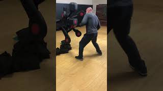 Bas Rutten pounds the Body Action System