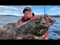 angeln auf heilbutt so fängst du mit köderfisch angeln in norwegen saltstraumen tipps