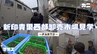 【新しい！】新印青果西部卸売市場見学〜Part2〜【盈科】