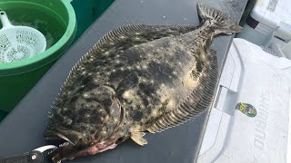 GW勝浦イシナギ〜大原 良型ヒラメ釣り