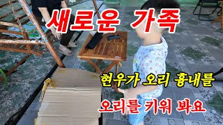 [ 베트남이주 ] 새로운 가족이 왔어요