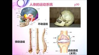 独中初一科学下册4.3 4.4