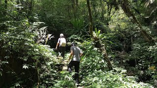 2024淡蘭中路----枋山坑古道