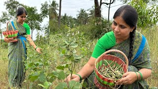 Village Style Alasande Kalu Sambar Recipe|Black Eyed Peas Sambar Recipe|Family Traditional Life