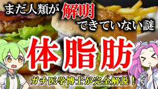 【医学博士が完全解説】まだ解明できていない人体の謎「体脂肪」【ずんだもん】【雑学】体脂肪は善か悪か？体脂肪が病気を起こす本当の原因！アディポカインの謎とは？現役のガチ研究者がばっちり解説しちゃうよ！