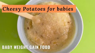 Potato Cheese for babies | Baby weight gain food for 8+ month old | 8+ month baby food