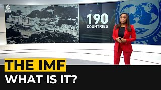What is IMF and why does it matter?