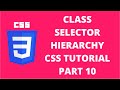 Class Selector Hierarchy CSS | CSS Tutorial Part 10