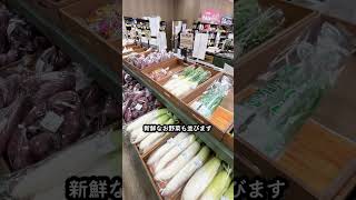 【週末のお出かけに必見！】道の駅高岡 ビタミン館【宮崎市おすすめ】 #宮崎 #お出かけ情報 #道の駅 #地場産品 #特産品 #ビタミン館