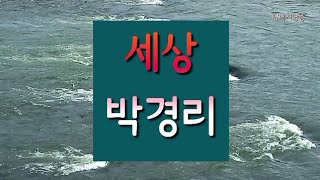 [시낭송] 세상 - 박경리/시집 - 우리들의 시간/영애시낭송