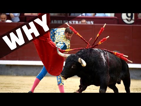 Why is bullfighting called a sport in Spain?