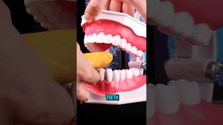 5 Foods That Harm Your Teeth #healthjourney #nutritionfacts #healthyfood #facts #viralshorts #shorts