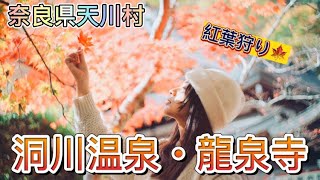 【奈良県天川村】洞川温泉・龍泉寺の紅葉とグルメ🍁