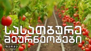 ფერმა - ორი ფერმერი - დამწყები და წარმატებული
