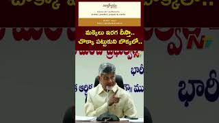 లా అండ్ ఆర్డర్ సమస్య సృష్టిస్తే, మక్కెలు ఇరగ దీస్తా:CM Chandrababu Mass Warning To YSRCP Leaders|Ntv