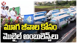 AP CM YS Jagan Flags Off 165 Veterinary Ambulances | Amaravathi | V6 News