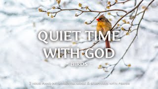 Quiet Time With God : Instrumental Worship and Scriptures with Birds 🕊️ Christian Instrumental