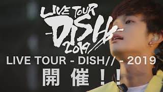 【11/9(土)～12/26(木)】LIVE TOUR - DISH// - 2019 開催!!