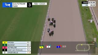 Gulfstream Park Carrera 3 - 1 de Febrero 2025