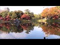 小石川後楽園大泉水の紅葉