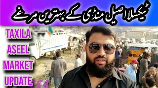 Friday Aseel Market Taxila Update August 7, 2022