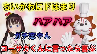 【ちいかわ】キクノジョーがドはまり～グッズを見つけて興奮のあまり言葉を失う【富士葵 切り抜き】