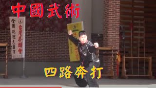 【Tanglanquan】Silubenda Tanglangquan Mantis boxing