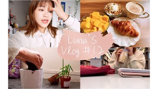 Luna’s Vlog#12 去图书馆吧！面试超紧张…春天来种小雏菊，Soulages蓬皮杜展览