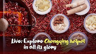 Live: Explore Chongqing hotpot in all its glory探秘重庆火锅